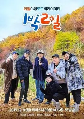 章节回顾第三段：代价兑现期的能力反噬